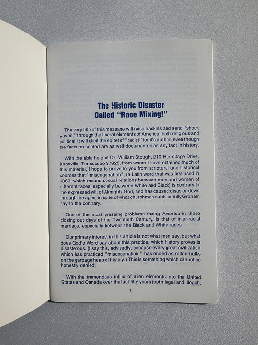 'Race Mixing: A Social and Spiritual Disaster! by Gordon Mohr