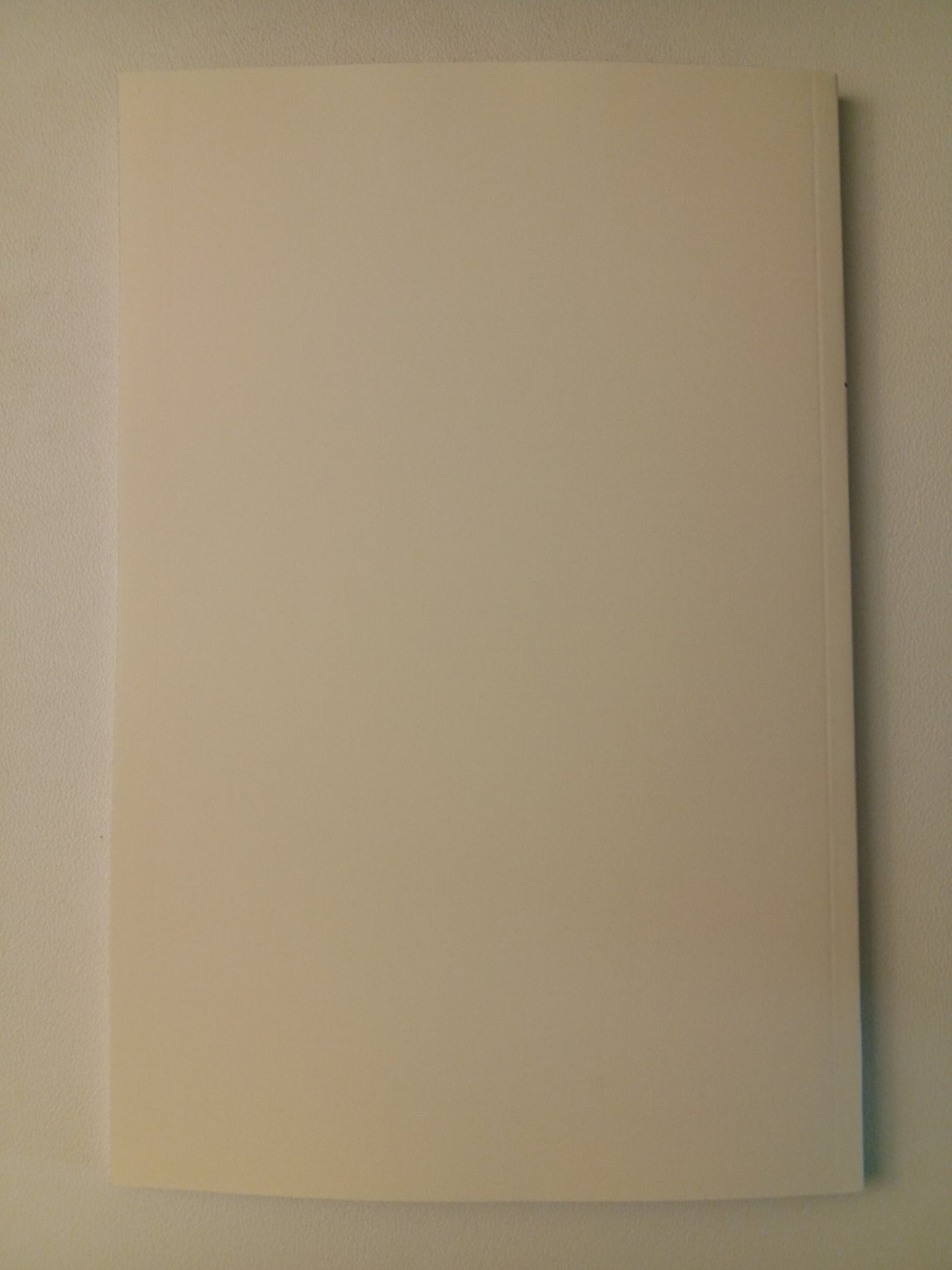 Anne Frank's Diary: A Hoax by Ditlieb Felderer PB