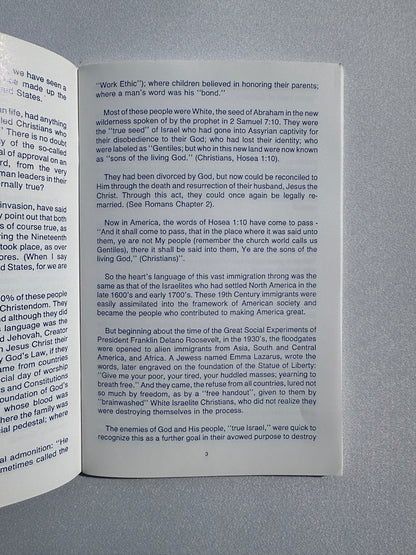 Race Mixing: A Social and Spiritual Disaster! by Gordon Mohr SB