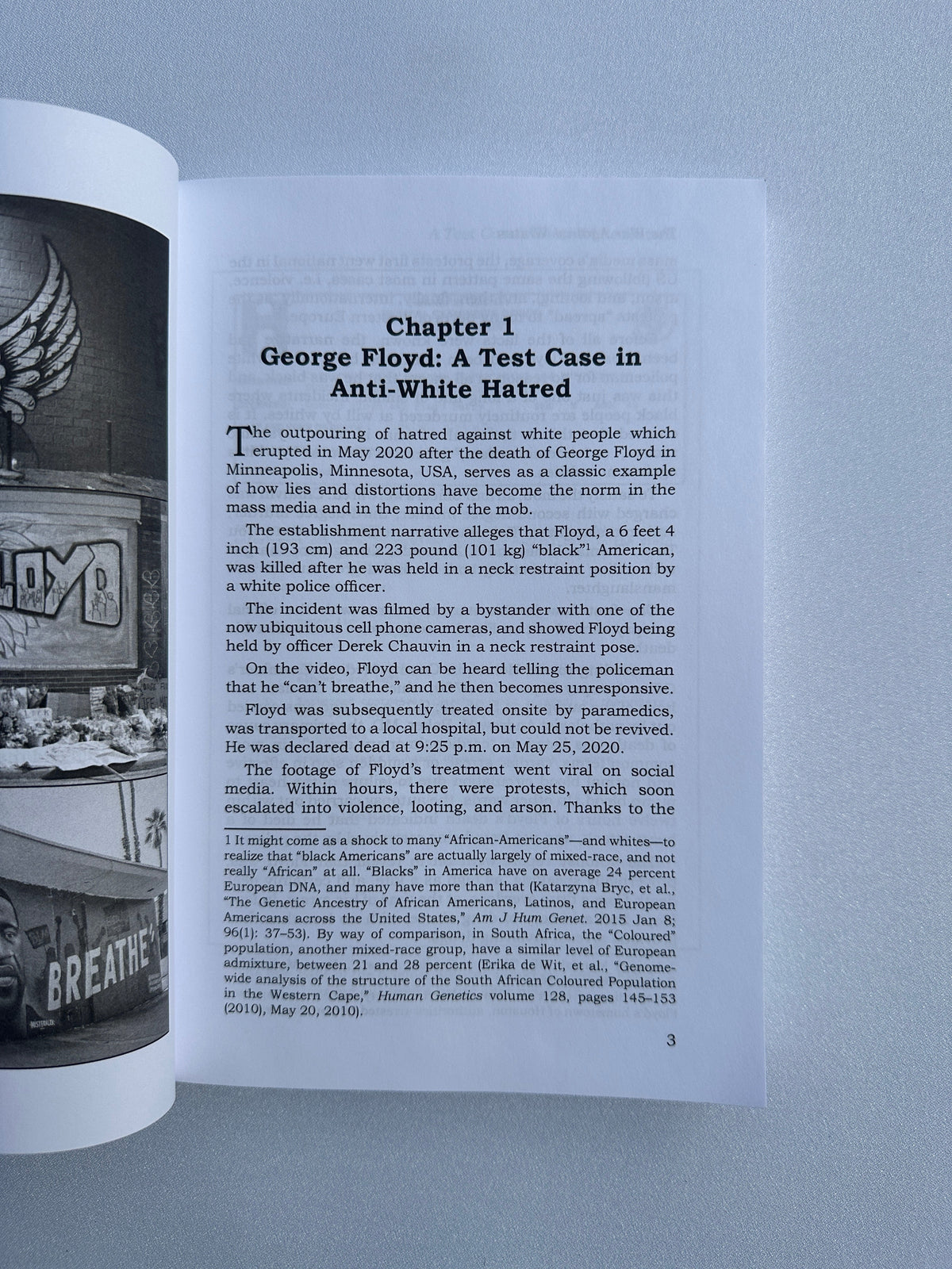 'War Against Whites: Racial Psychology Behind Anti-White Hatred by Arthur Kemp PB