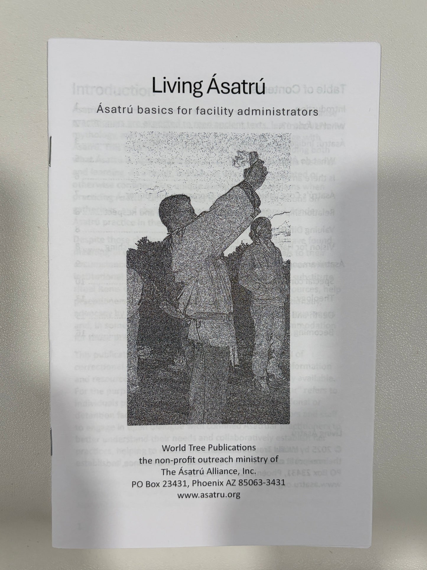 Living Asatru: Asatru Basics for Facility Administrators by Stephen McNallen SB
