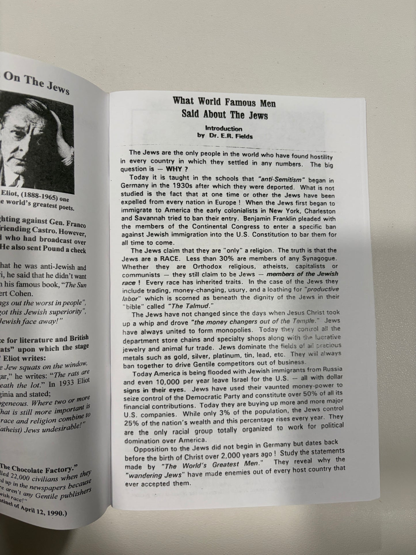 Famous Men Condemned Zionism by Edward Fields SB