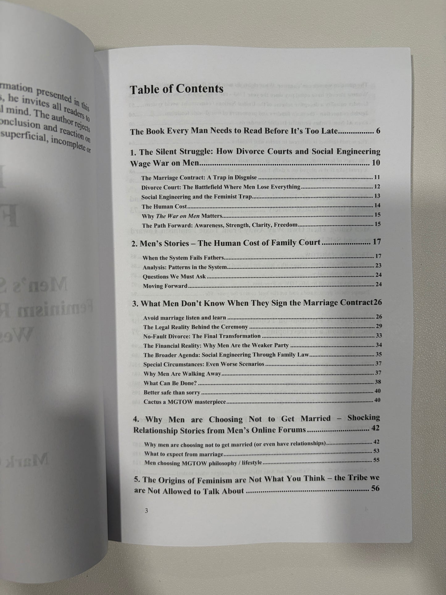 Flaws of Feminism: Men's Stories by Mark Keenan PB