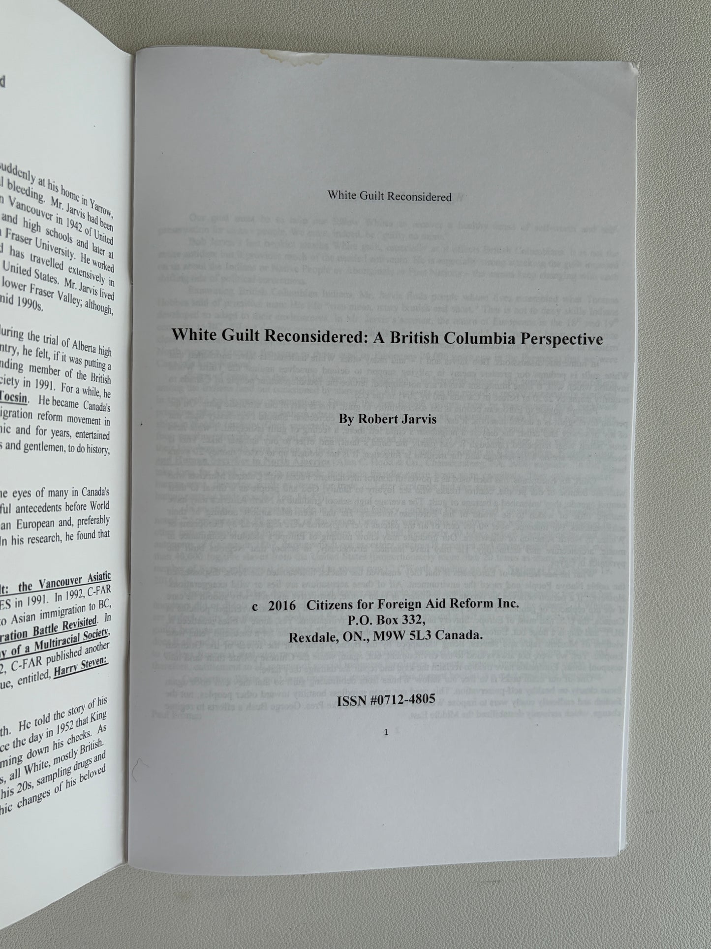 White Guilt Reconsidered by Robert Jarvis SB