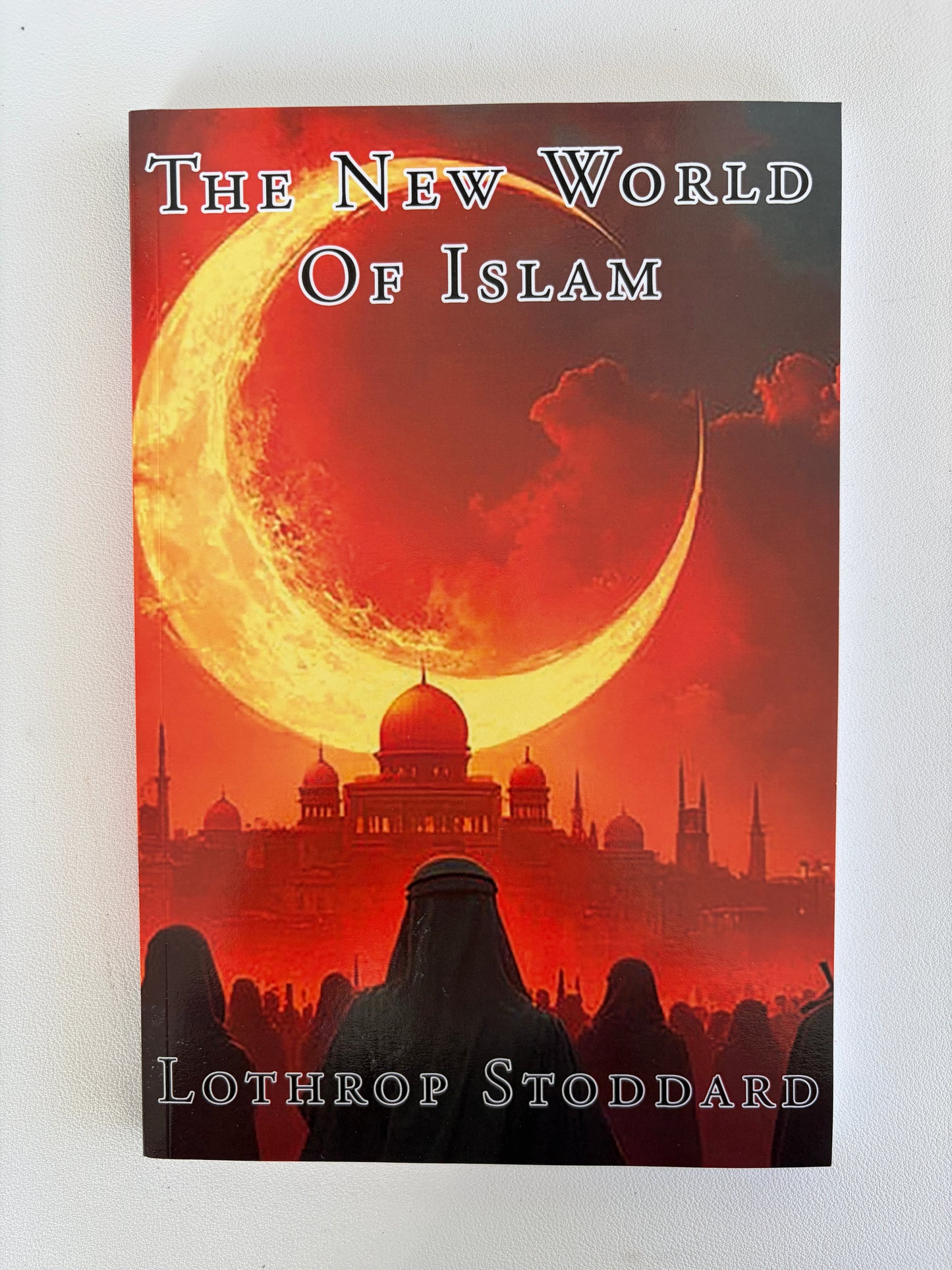 New World of Islam by Lothrop Stoddard PB