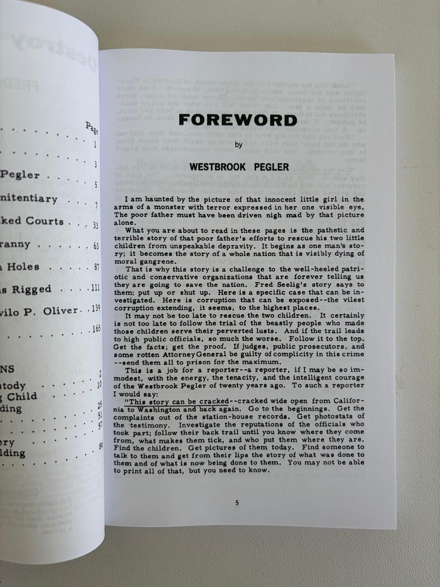 Destroy the Accuser: Federal Homo Power Exposed by Frederick Seelig PB