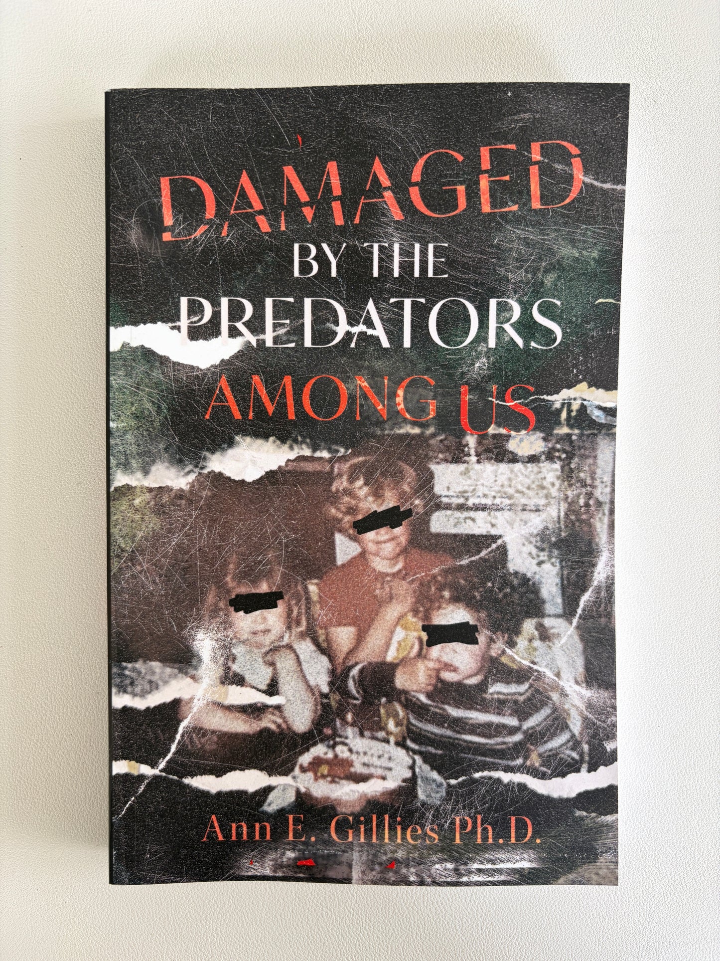 Damaged by the Predators Among Us by Ann Gillies PB