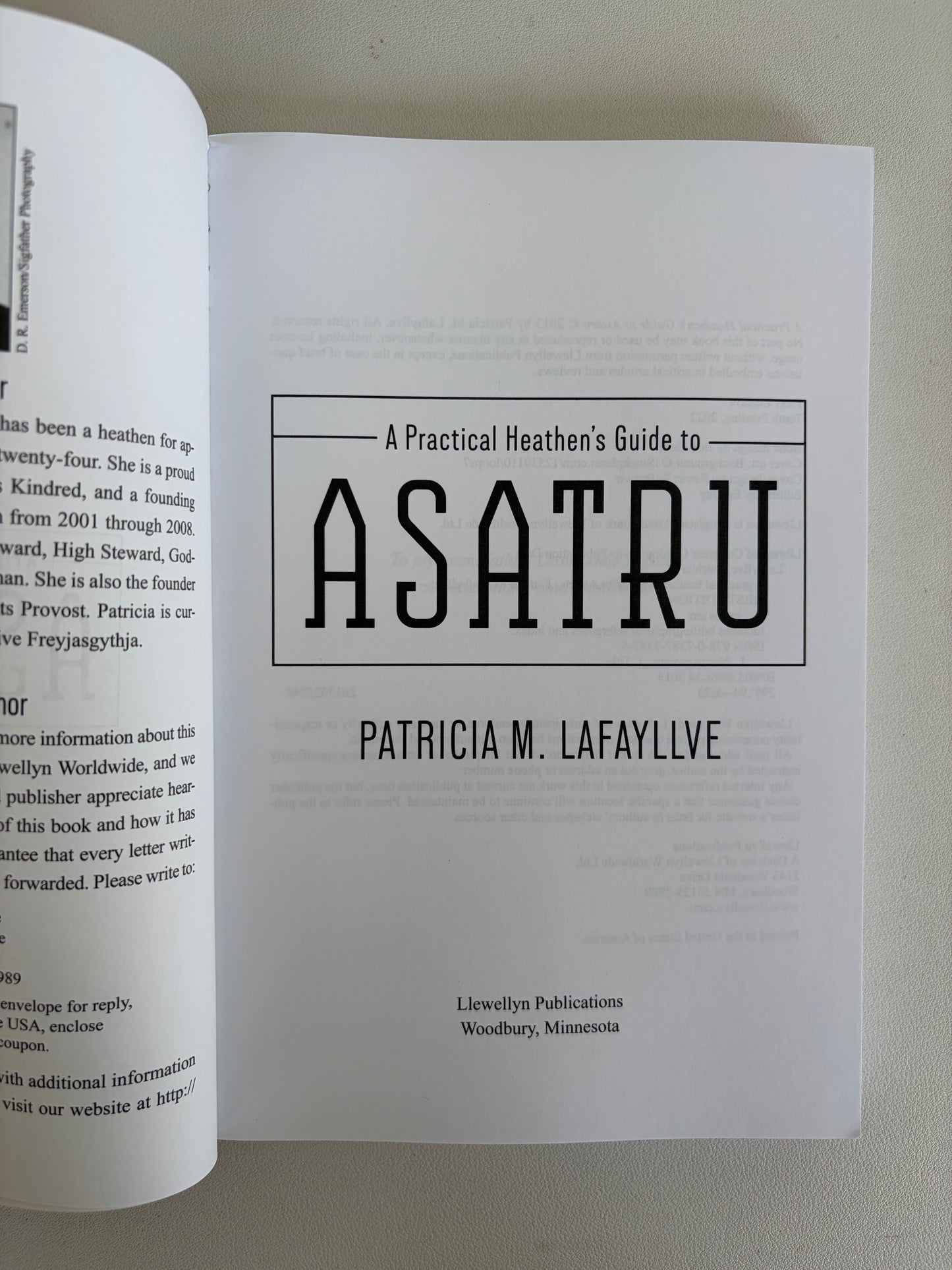 Practical Heathen's Guide to Asatru by Patricia Lafayllve PB