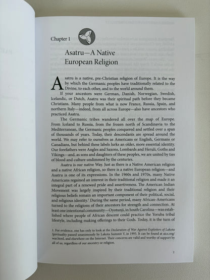 Asatru: A Native European Spirituality by Stephen McNallen PB