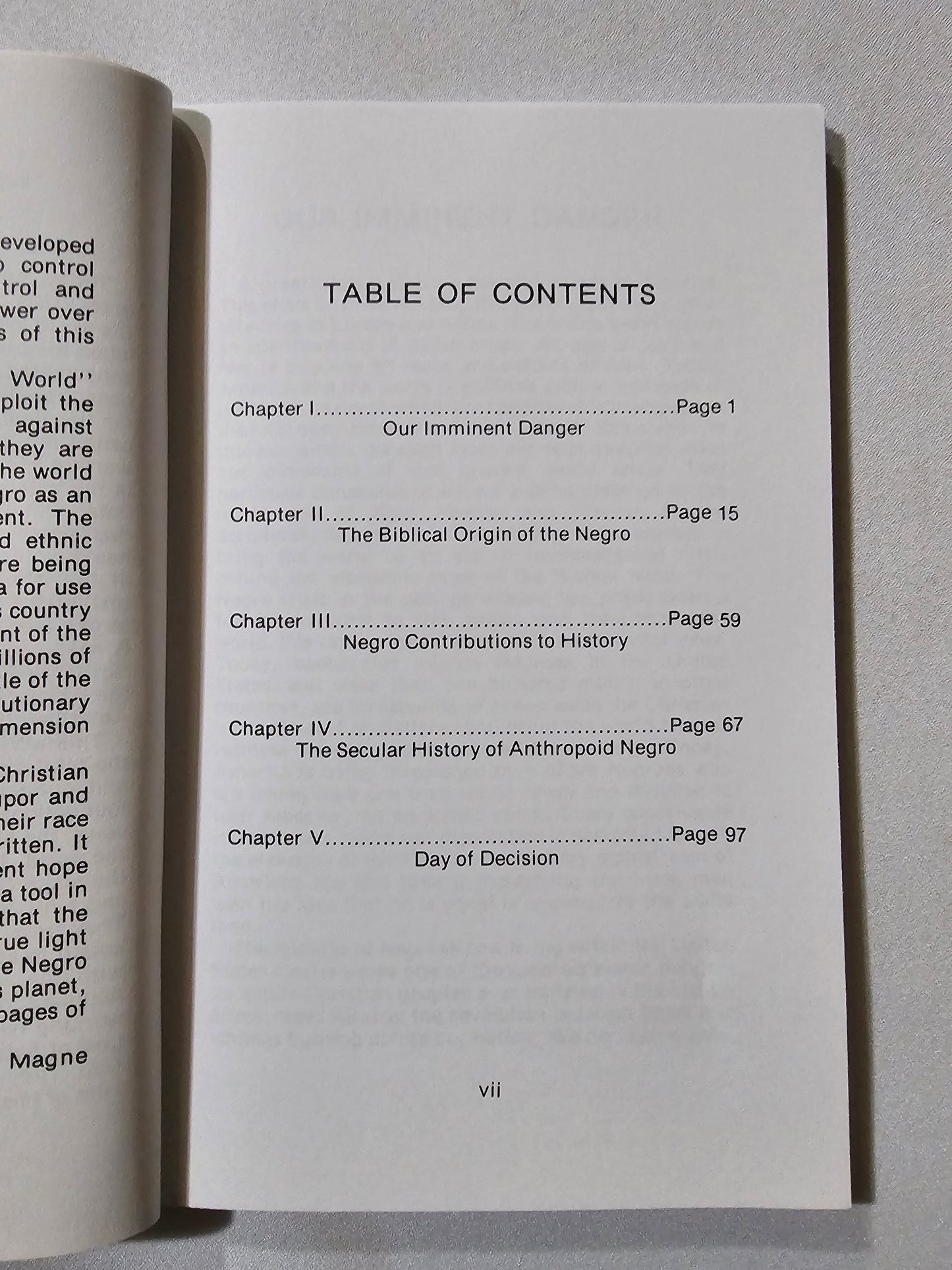 Negro and the World Crisis by Charles Magne