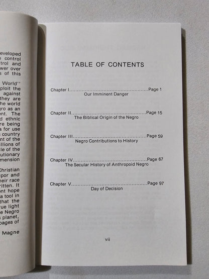 Negro and the World Crisis by Charles Magne
