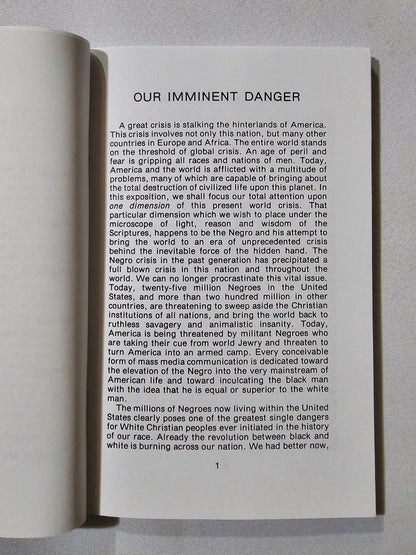Negro and the World Crisis by Charles Magne