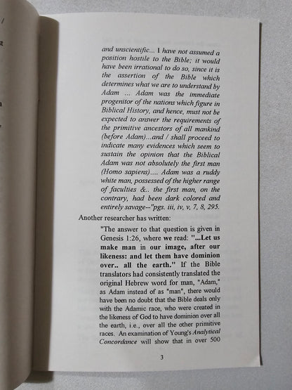 Multiculturalism: Racemixing, the Sin for Which God Will Kill by Everett Ramsey