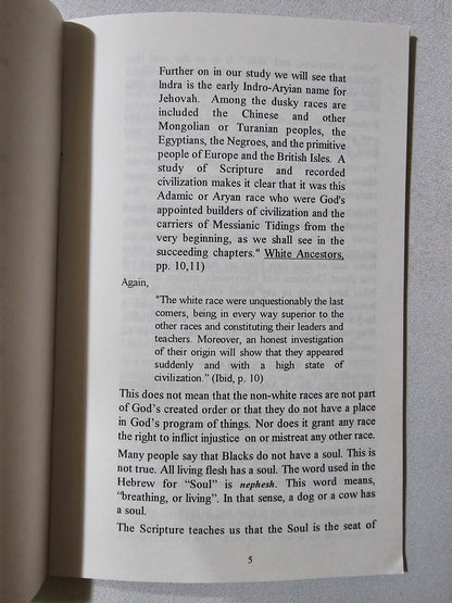Multiculturalism: Racemixing, the Sin for Which God Will Kill by Everett Ramsey