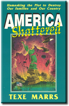 America Shattered: Unmasking the Plot to Destroy Our Families and Our Country by Texe Marrs