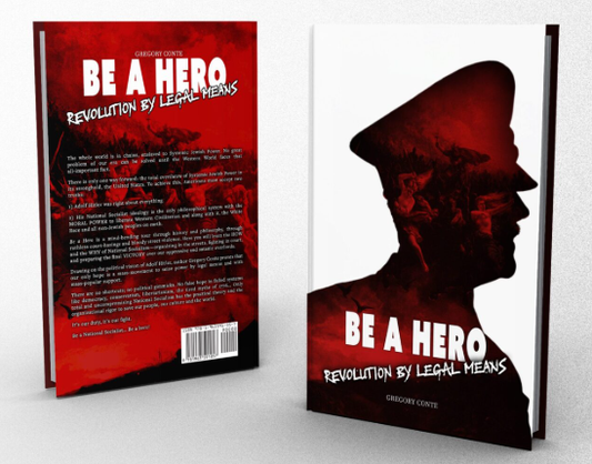 Be A Hero: Revolution by Legal Means by Gregory Conte