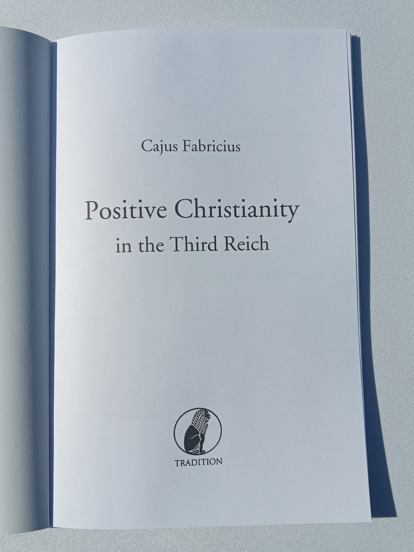 Positive Christianity by Cajus Fabricius PB