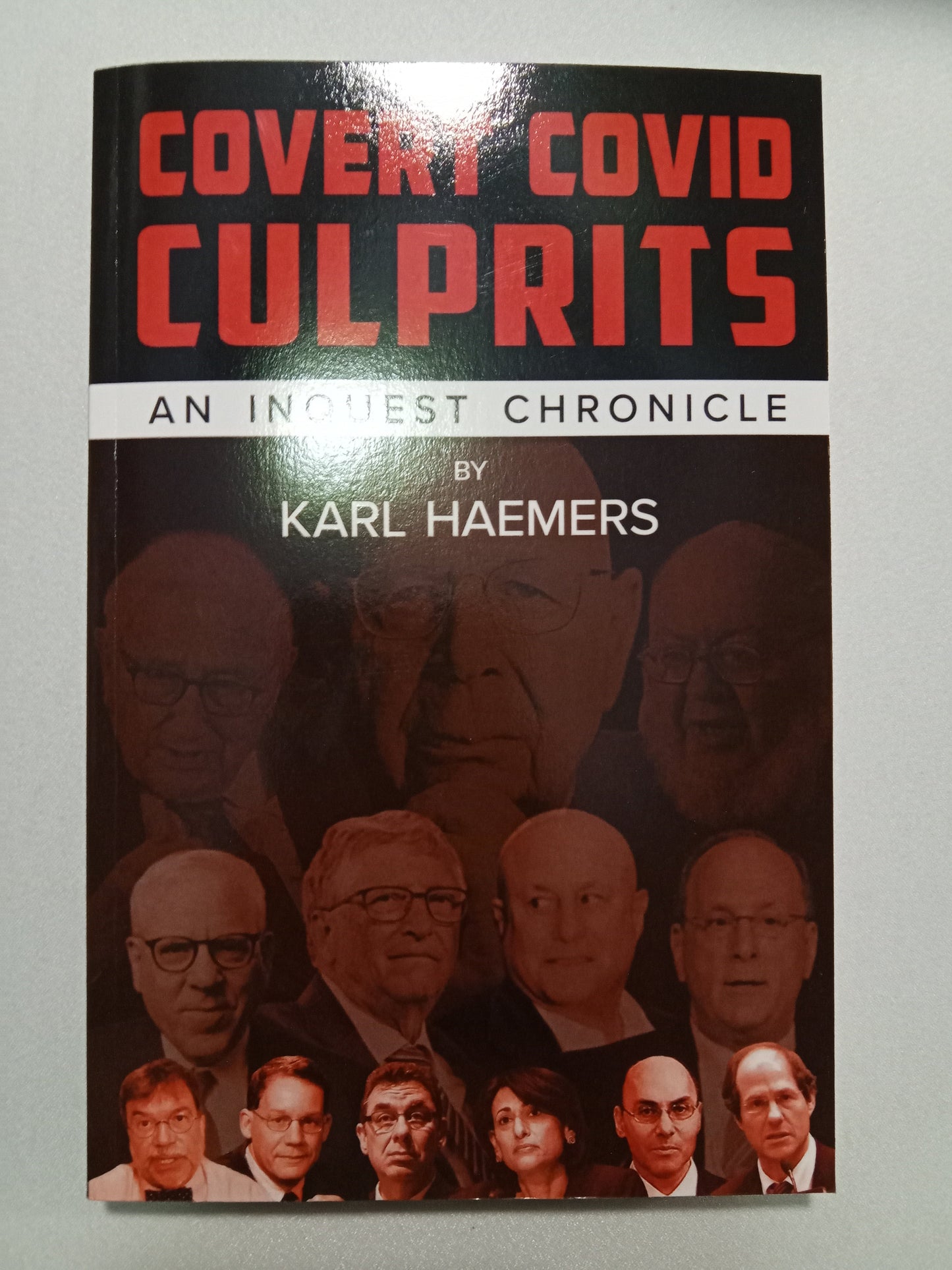 Covert COVID Culprits: An Inquest Chronicle by Karl Haemers PB