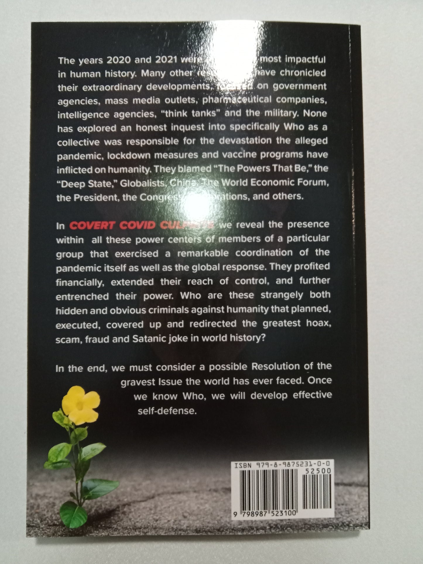 Covert COVID Culprits: An Inquest Chronicle by Karl Haemers PB