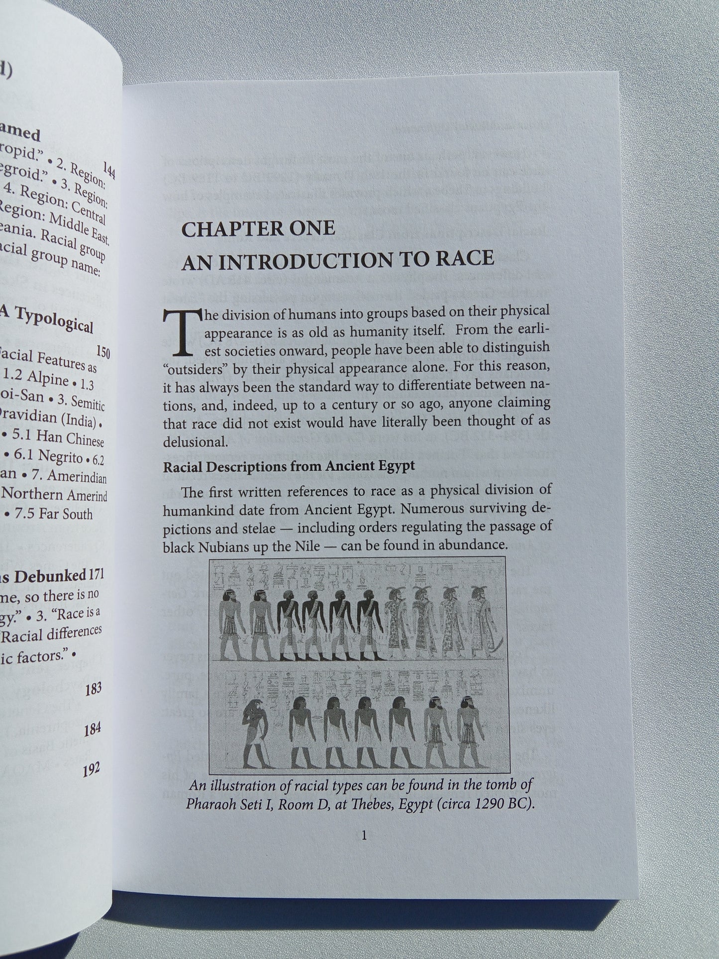 Race and Racial Differences: How DNA Shapes Mankind by Arthur Kemp PB