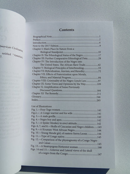 America's Greatest Problem: The Negro by Robert Shufeldt PB