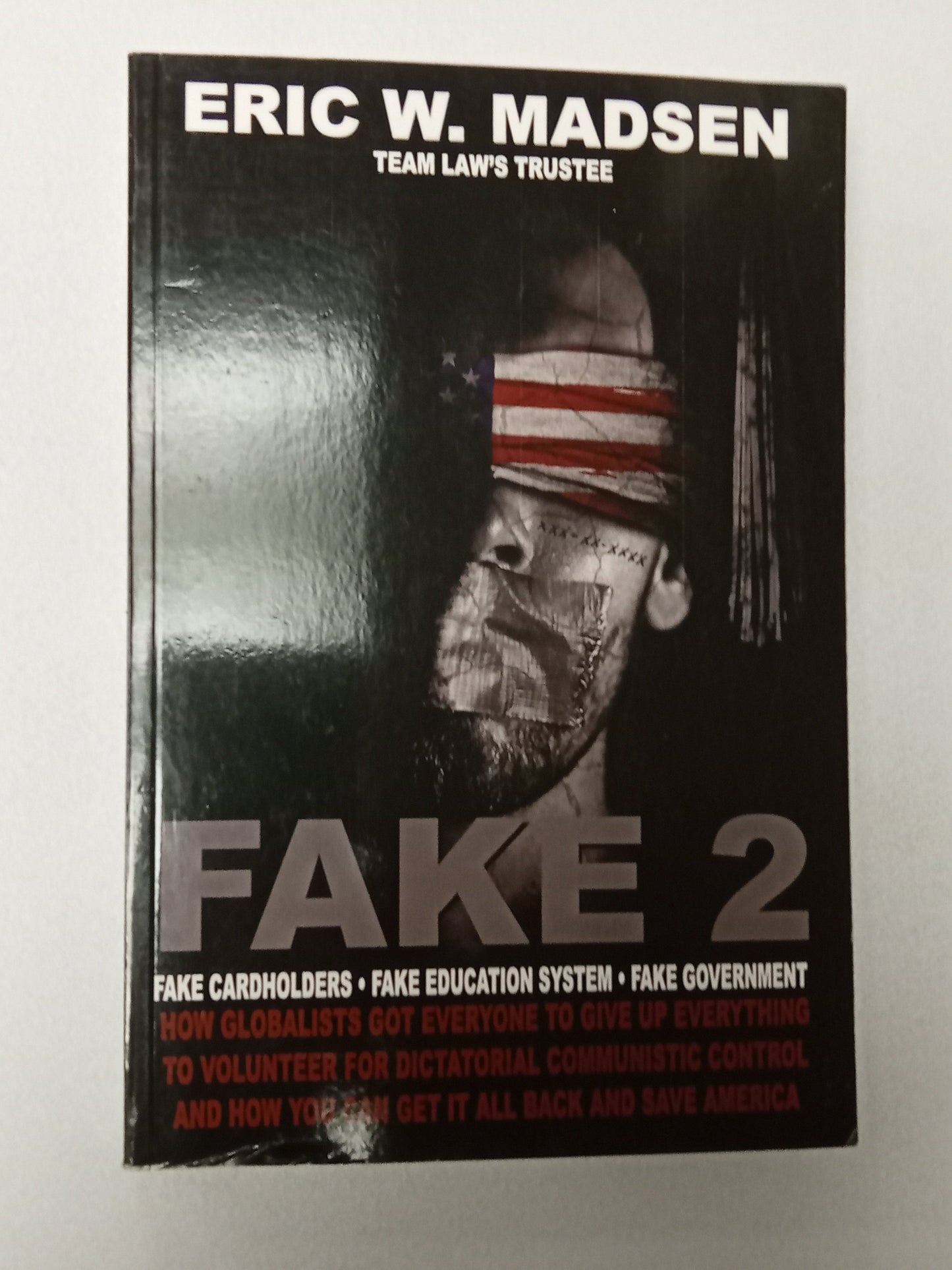 Fake 2: Fake Cardholders, Fake Education System, Fake Government by Eric Madsen