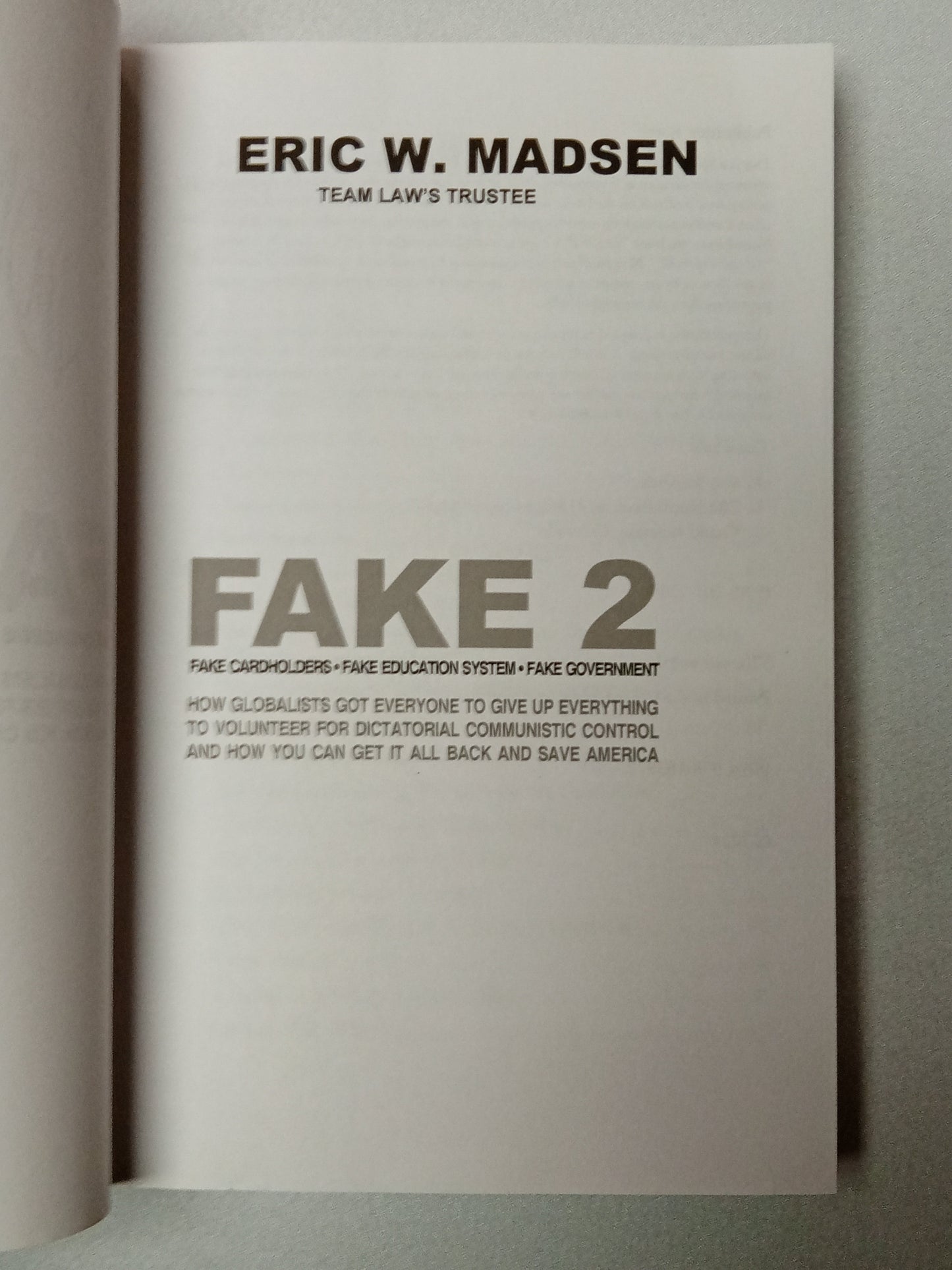 Fake 2: Fake Cardholders, Fake Education System, Fake Government by Eric Madsen