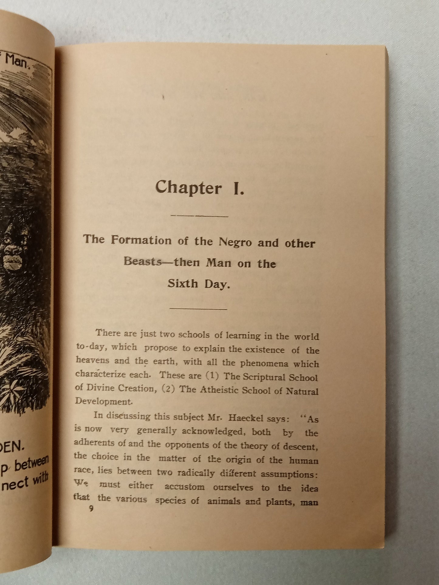 Negro … a Beast: In the Image of God by Charles Carroll