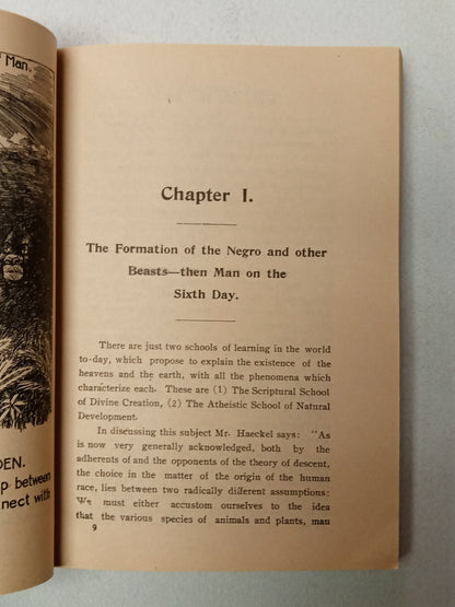 Negro … a Beast: In the Image of God by Charles Carroll