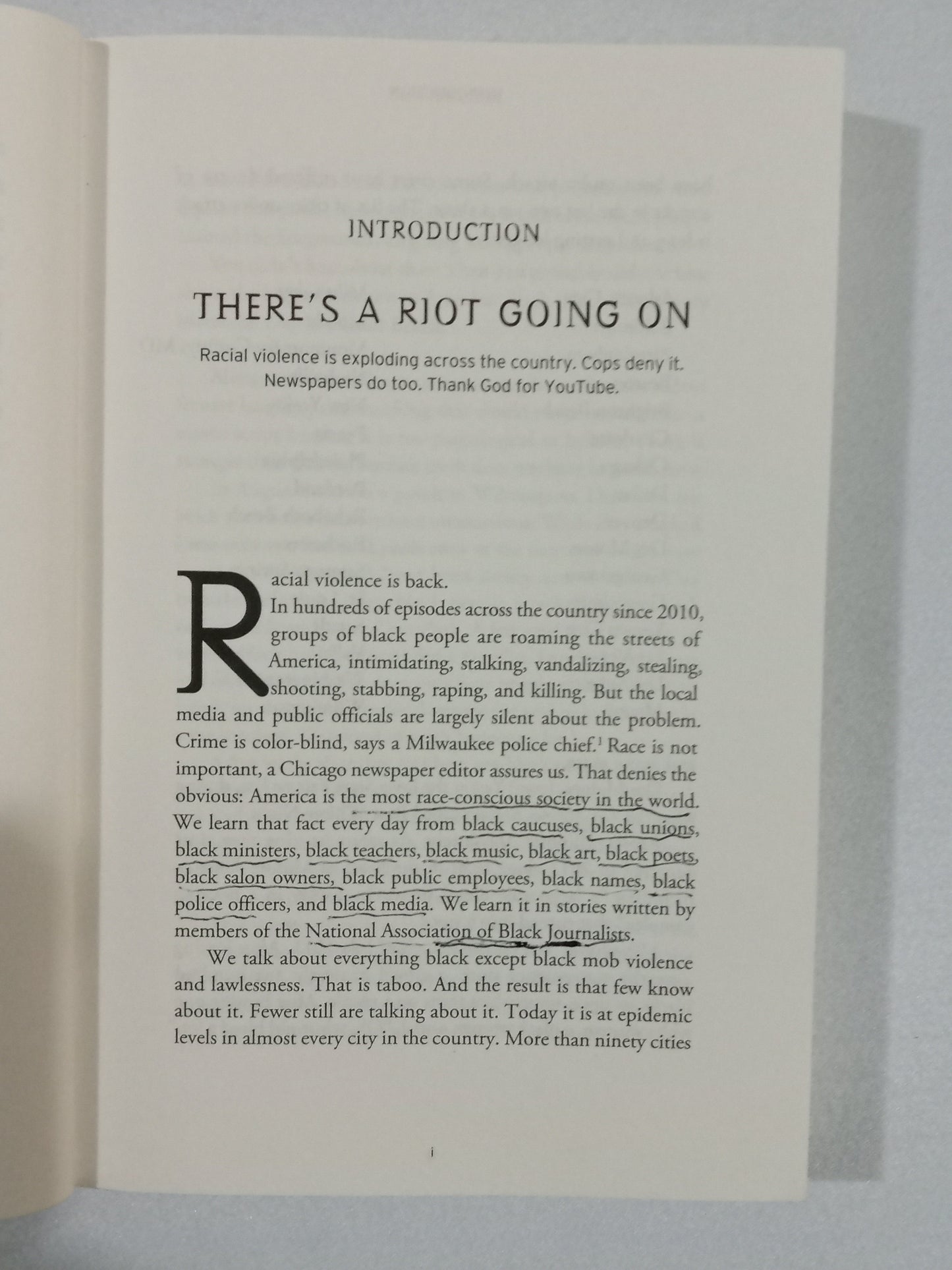 White Girl Bleed a Lot: The Return of Racial Violence to America by Colin Flaherty
