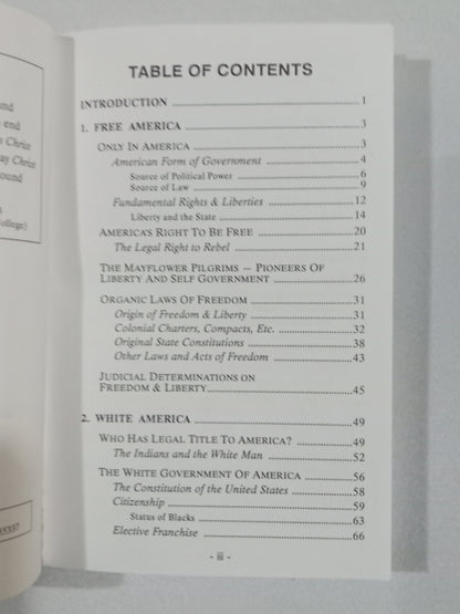 America: Free, White, and Christian by Charles Weisman PB
