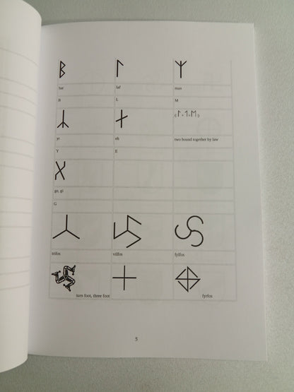 Secret of the Runes by Guido von List