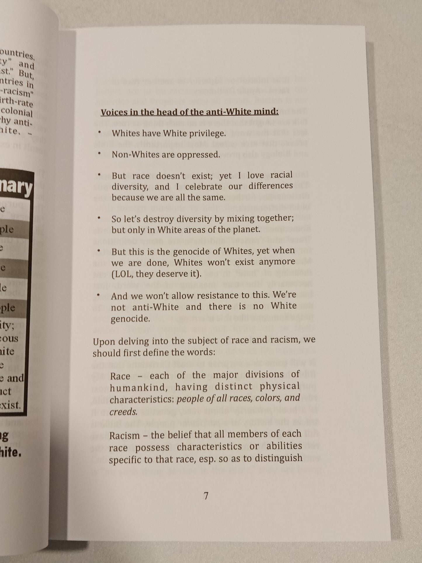 Racism is Not a Bad Word: Bible Basis of the Christian Racist by James Jester PB