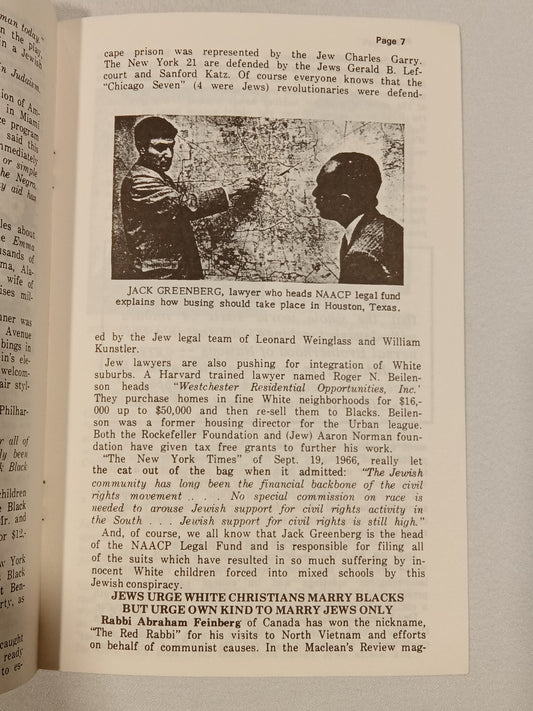 Why Jews Promote the Mongrelization of the White Race by Edward Fields SB