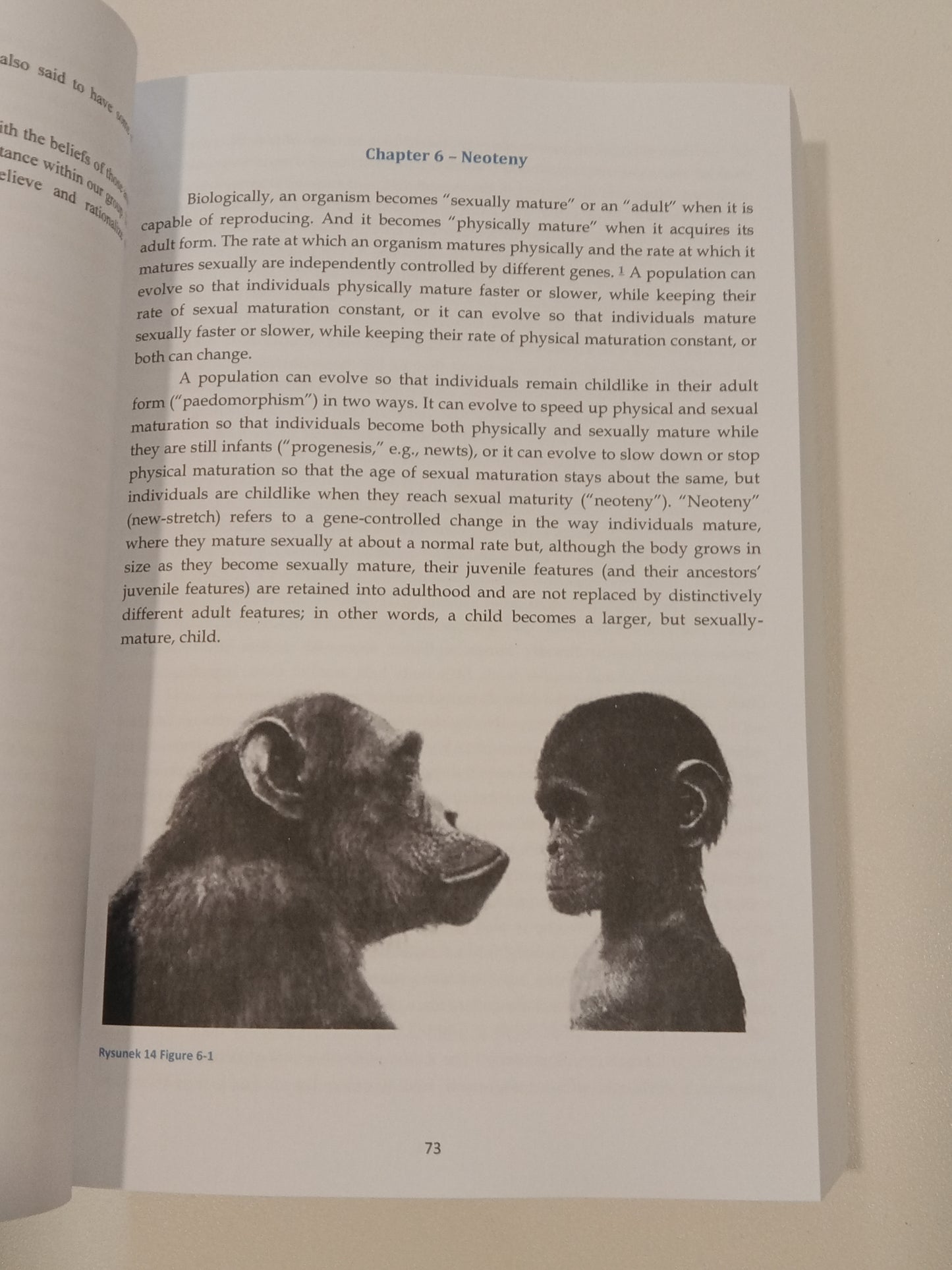 Erectus Walks Amongst Us by Richard Fuerle PB
