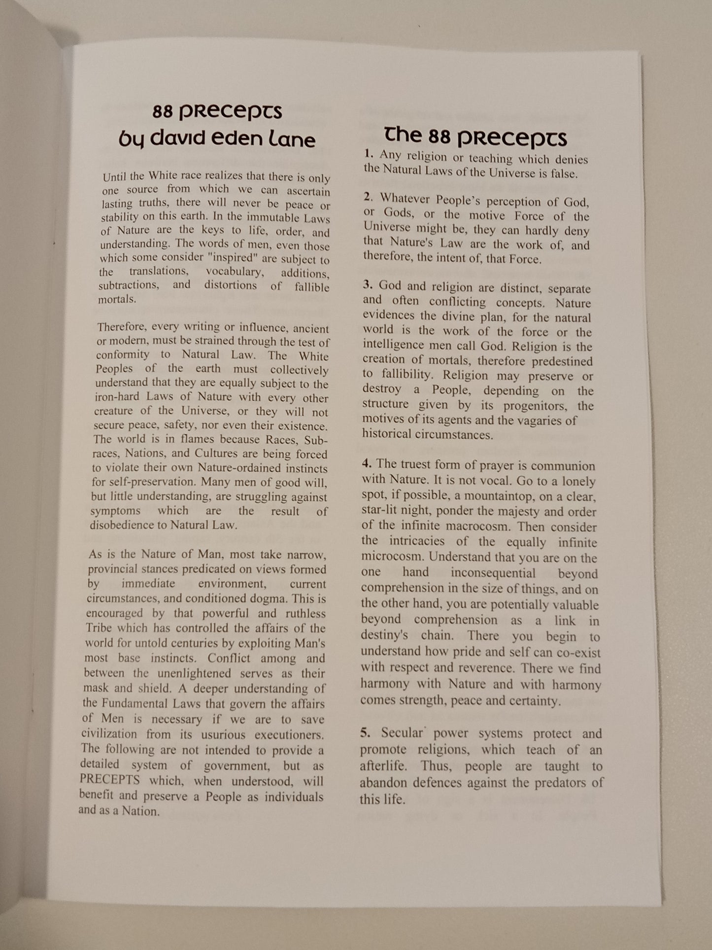 '88 Precepts by David Lane SB