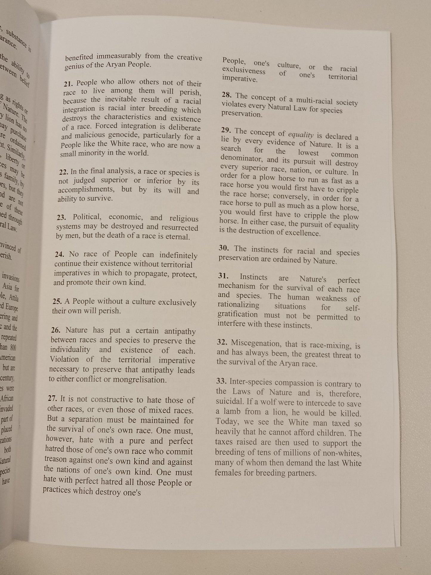 '88 Precepts by David Lane SB