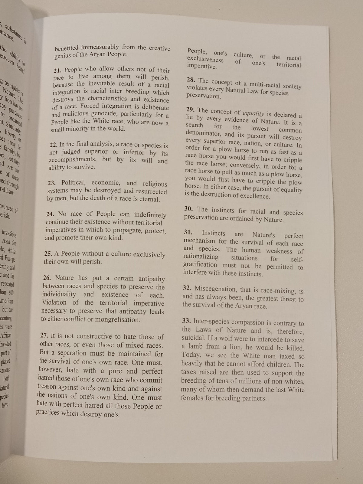 '88 Precepts by David Lane SB