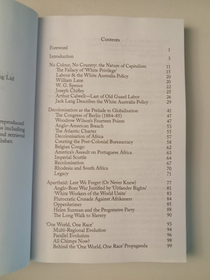 Babel Inc.: Multiculturalism, Globalisation, and World Order by Kerry Bolton PB