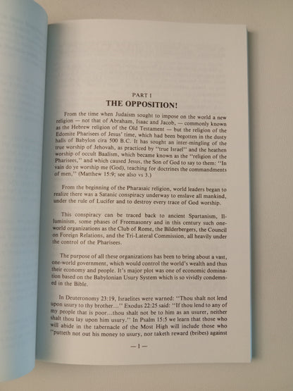 Behold the International Jew! by Gordon Mohr PB