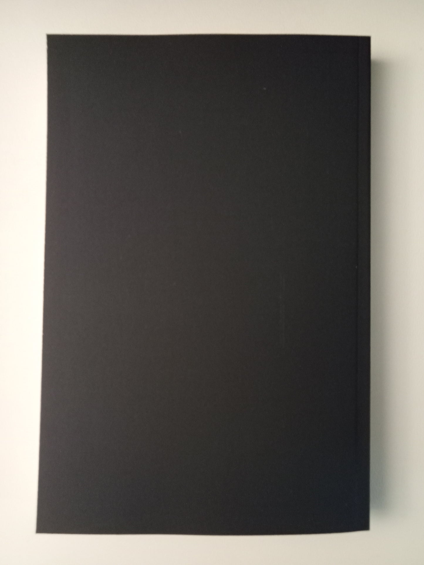 Warrior Poet: Collected Writings by Kurt Eggers PB