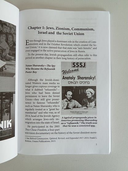 Hoax of Soviet Anti-Semitism: Jews, Zionism, Communism, and the Soviet Union, 1918 to 1991 by Frank Britton PB