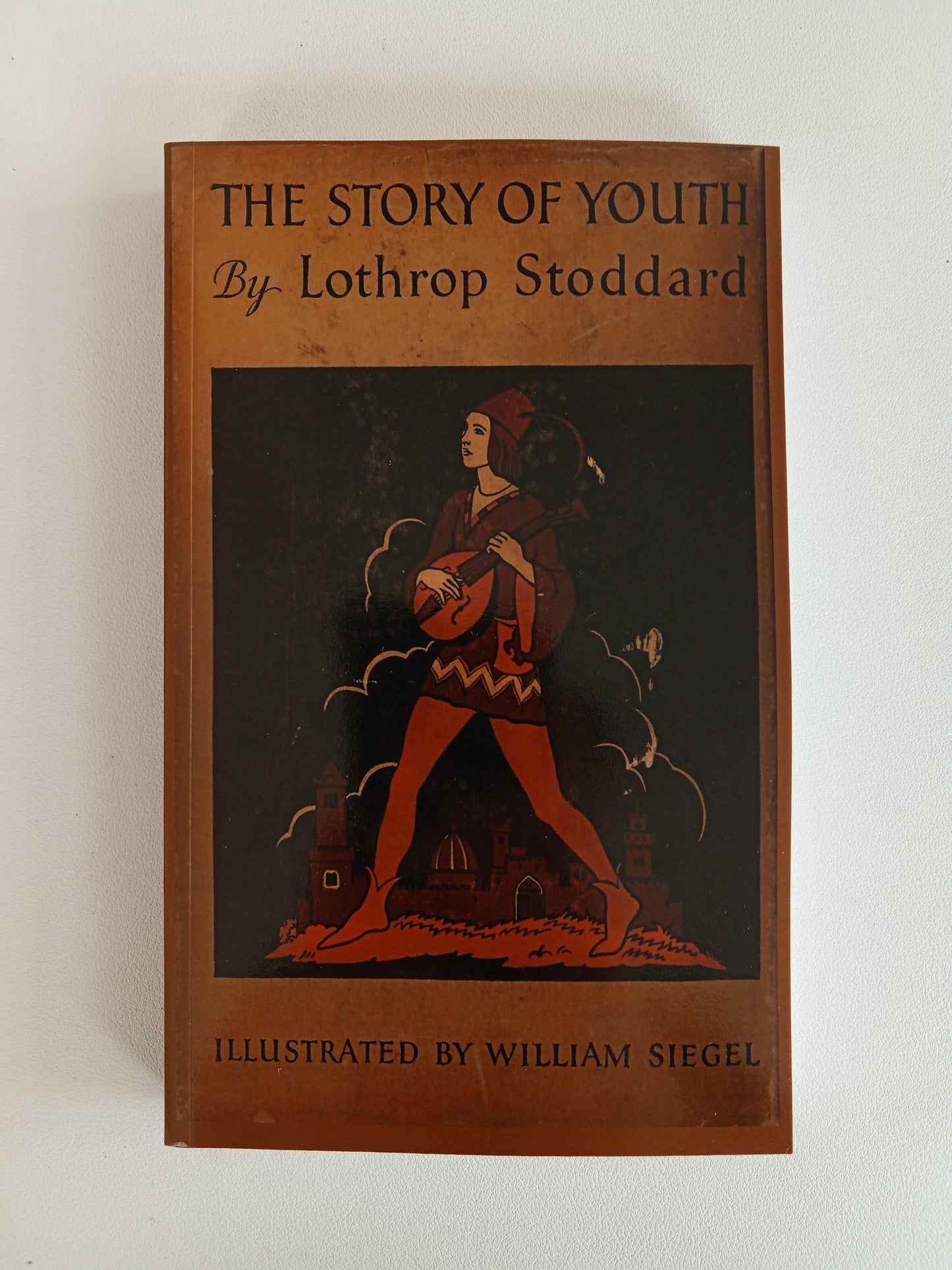 Story of Youth by Lothrop Stoddard PB