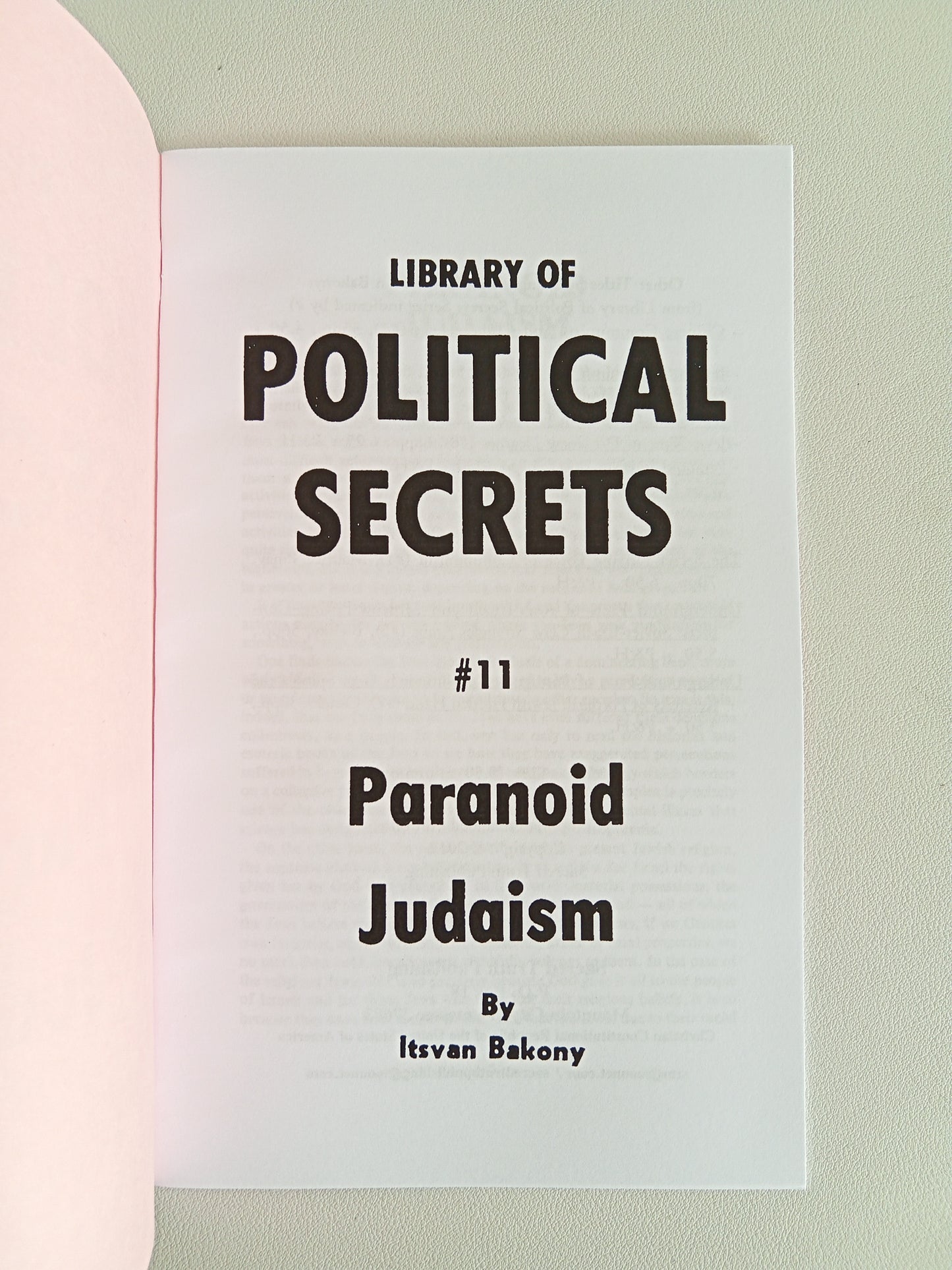 Paranoid Judaism by Itsvan Bakony SB