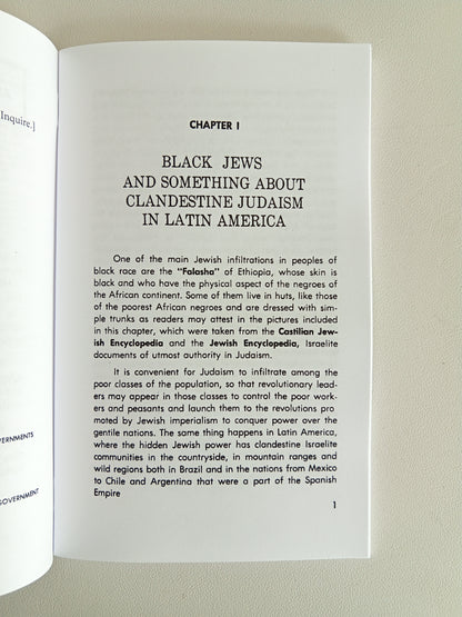 Jews Want to Dominate the Negroes by Itsvan Bakony SB