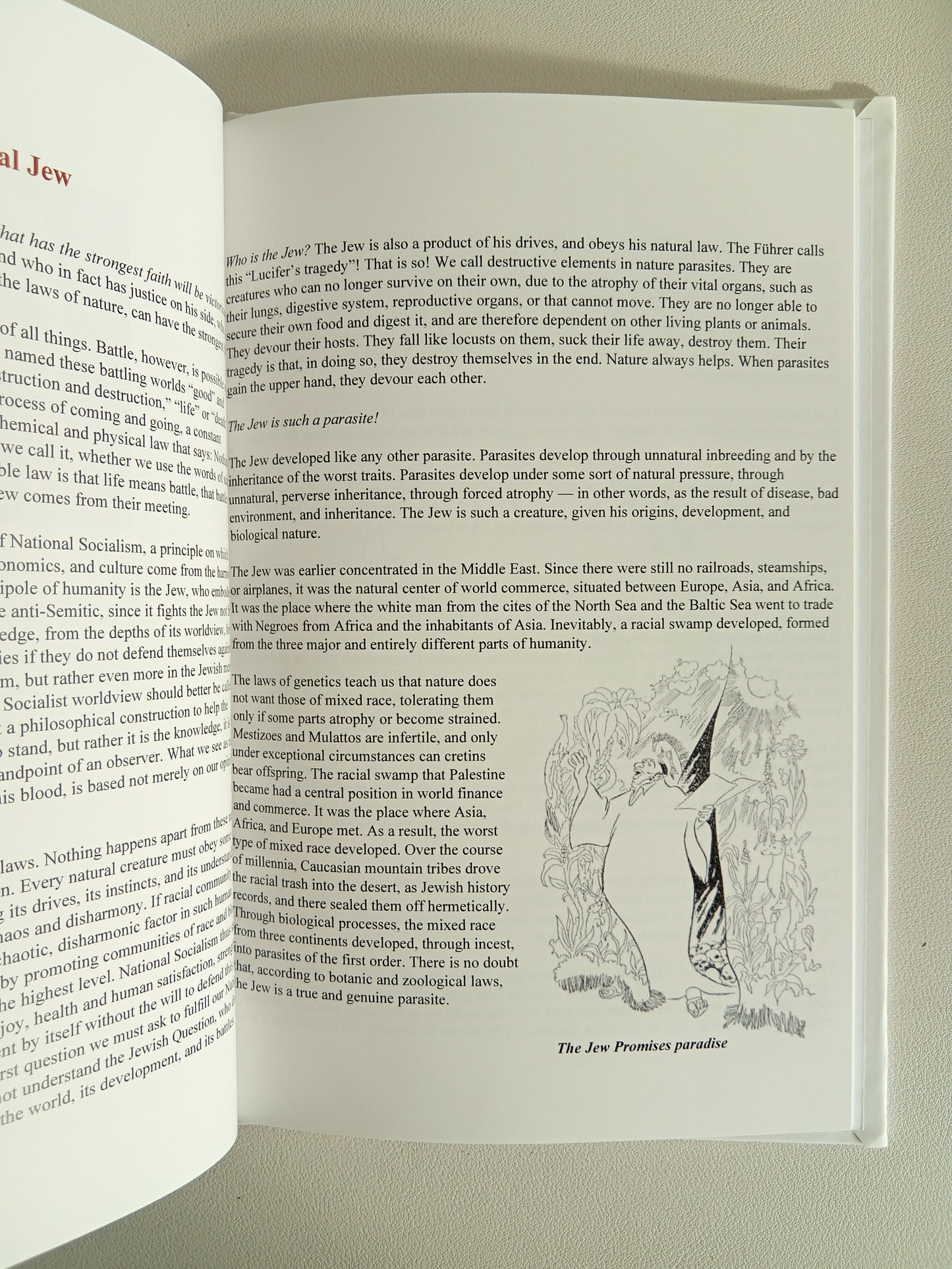 Pestilential Miasma of the World by Robert Ley HB