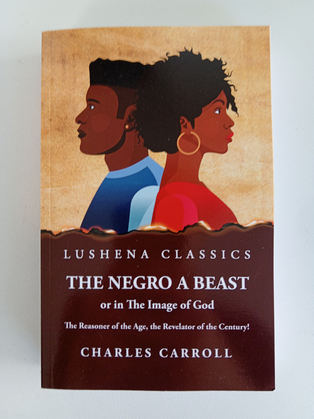Negro a Beast: In the Image of God by Charles Carroll PB