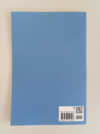 Great Replacement Theory and the USA by Sarah Burley PB