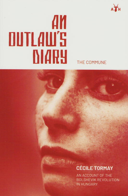 Outlaw's Diary by Cecil Tomay