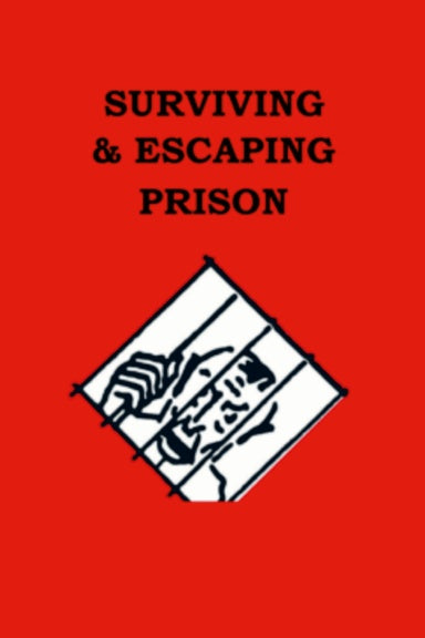 Surviving and Escaping Prison by Loki Hulgaard